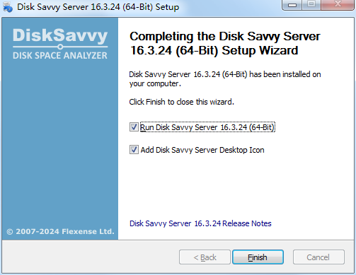 Disk Savvy Server