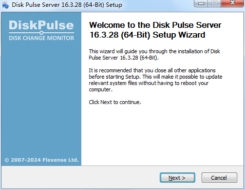 Disk Pulse Server