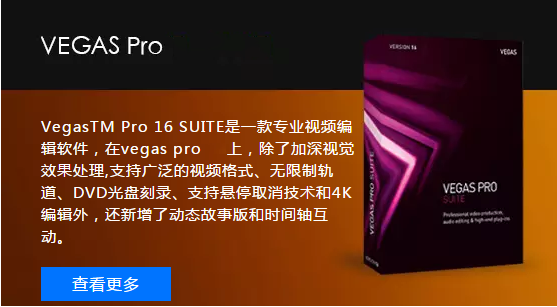 Vegas Pro Image