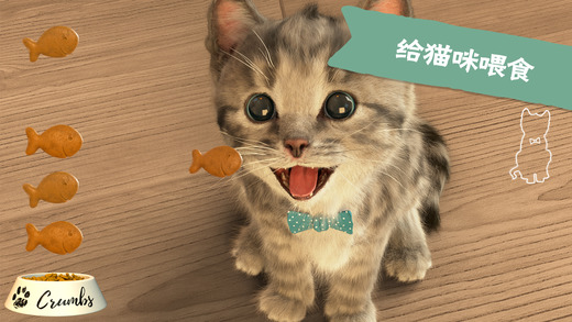 little kitten我最喜爱的猫猫iOS软件封面