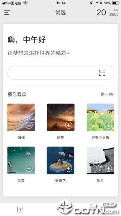 绿叶浏览器ios