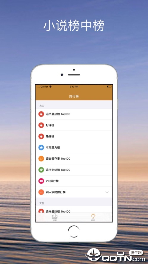 小说榜中榜ios