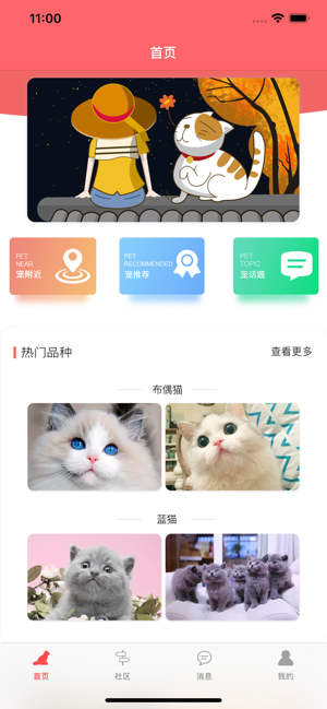 亲爱的猫咪