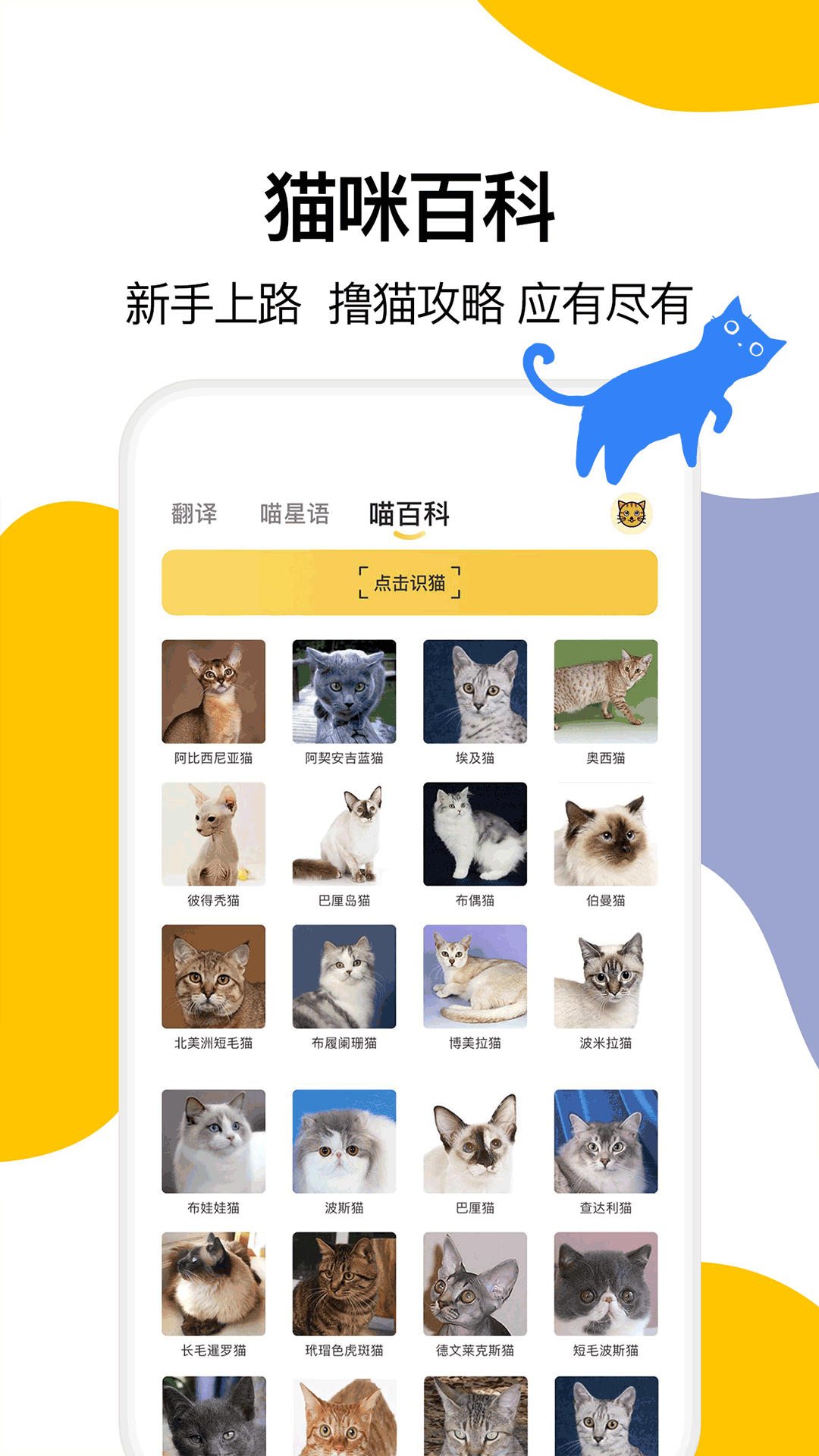 猫语翻译软件封面