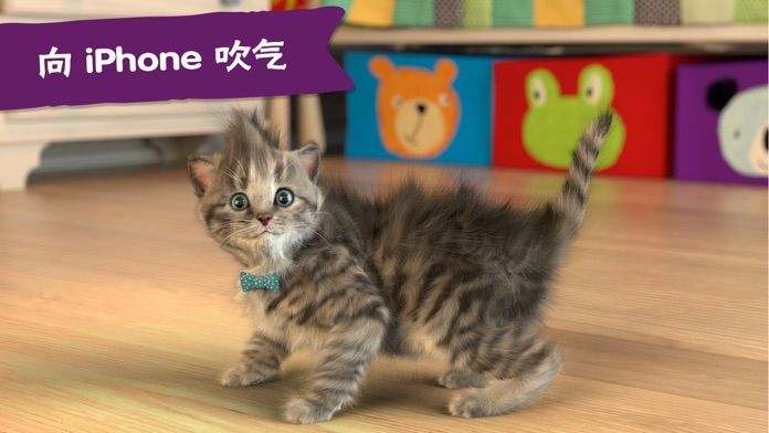 LittleKitten小猫-我最喜欢的猫