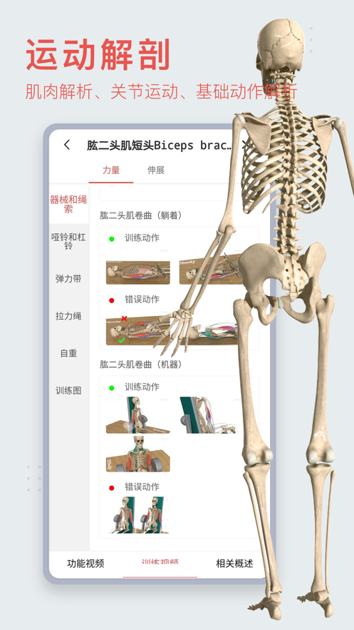 3Dbody解剖学