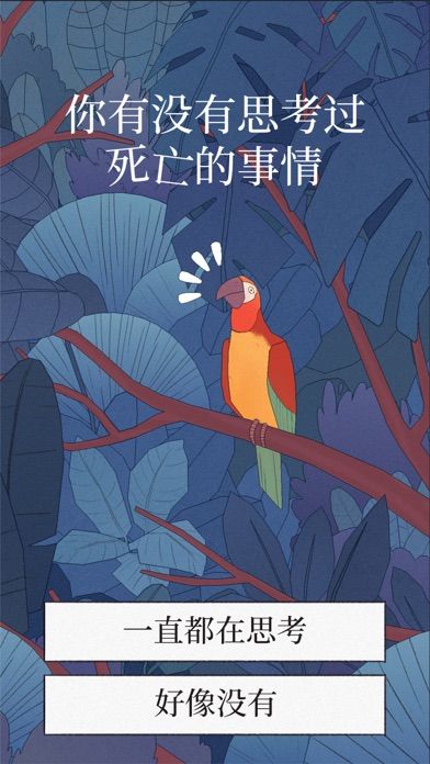 BirdAlone软件封面