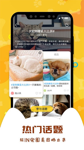 爱宠大陆app