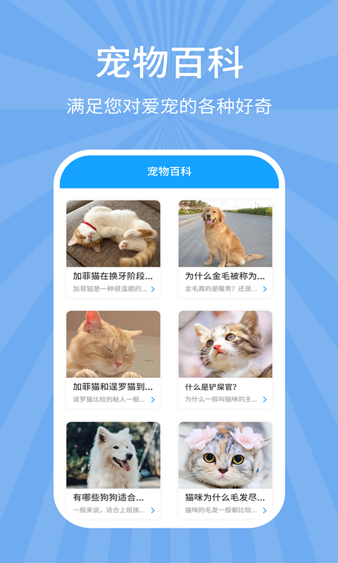 狗猫翻译器软件封面