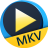 Aiseesoft Free MKV Player