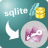 SqliteToAccess