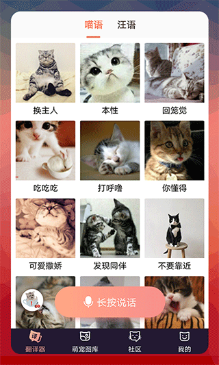 猫语翻译器app中文版软件封面