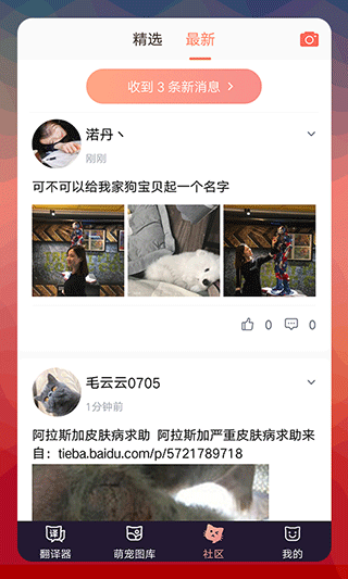 猫语翻译器app中文版软件封面