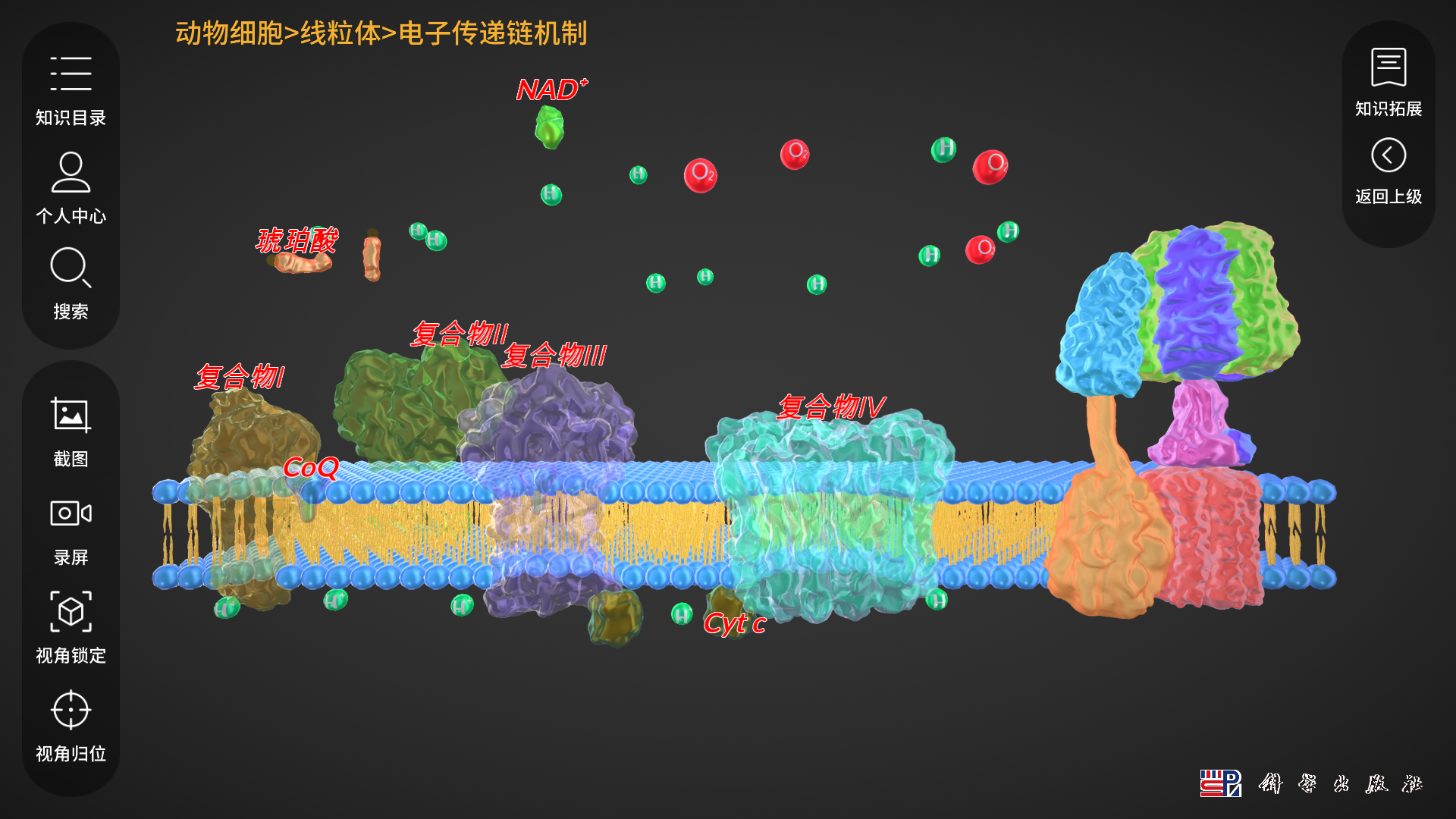 细胞生物学3D资源库系统软件封面