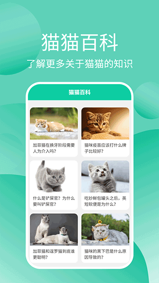 猫猫交流器软件封面