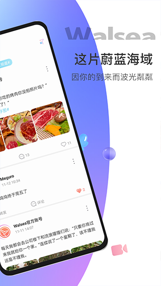 Walsea女性社交app软件封面