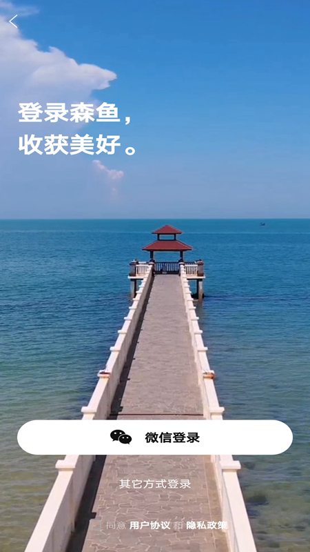 森鱼软件封面