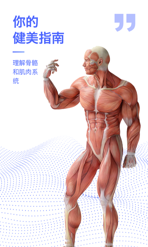 人体3D解剖图谱