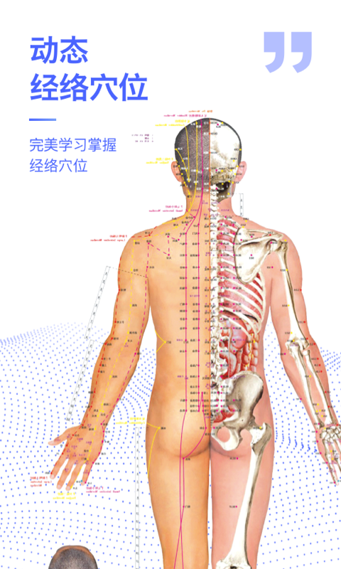 人体3D解剖图谱