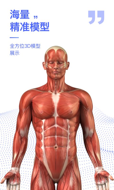 人体3D解剖图谱