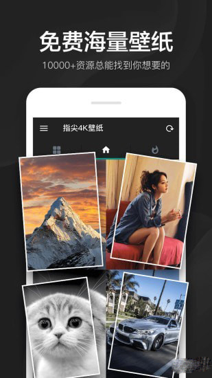 指尖4K壁纸app