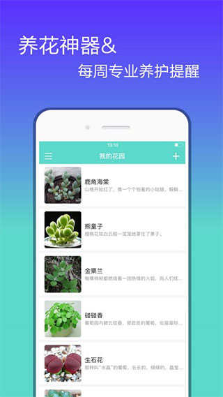 花信app