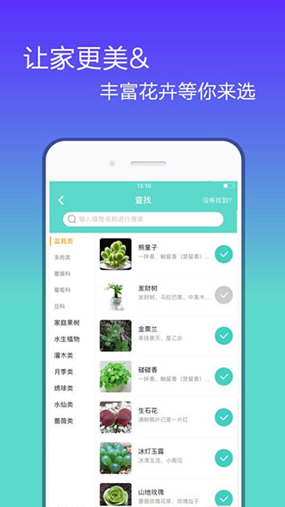 花信app