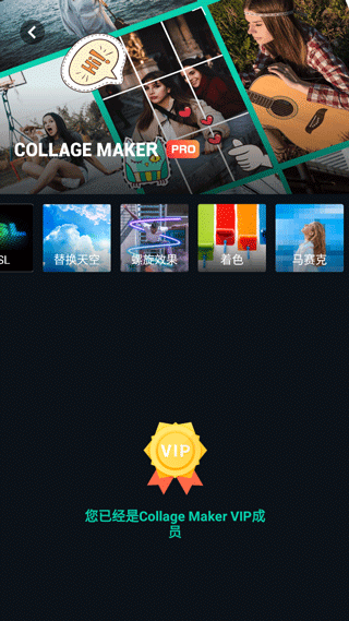 Collage Maker pro中文版