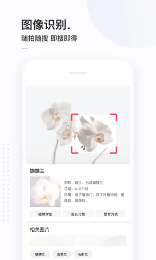 简单搜索浏览器app