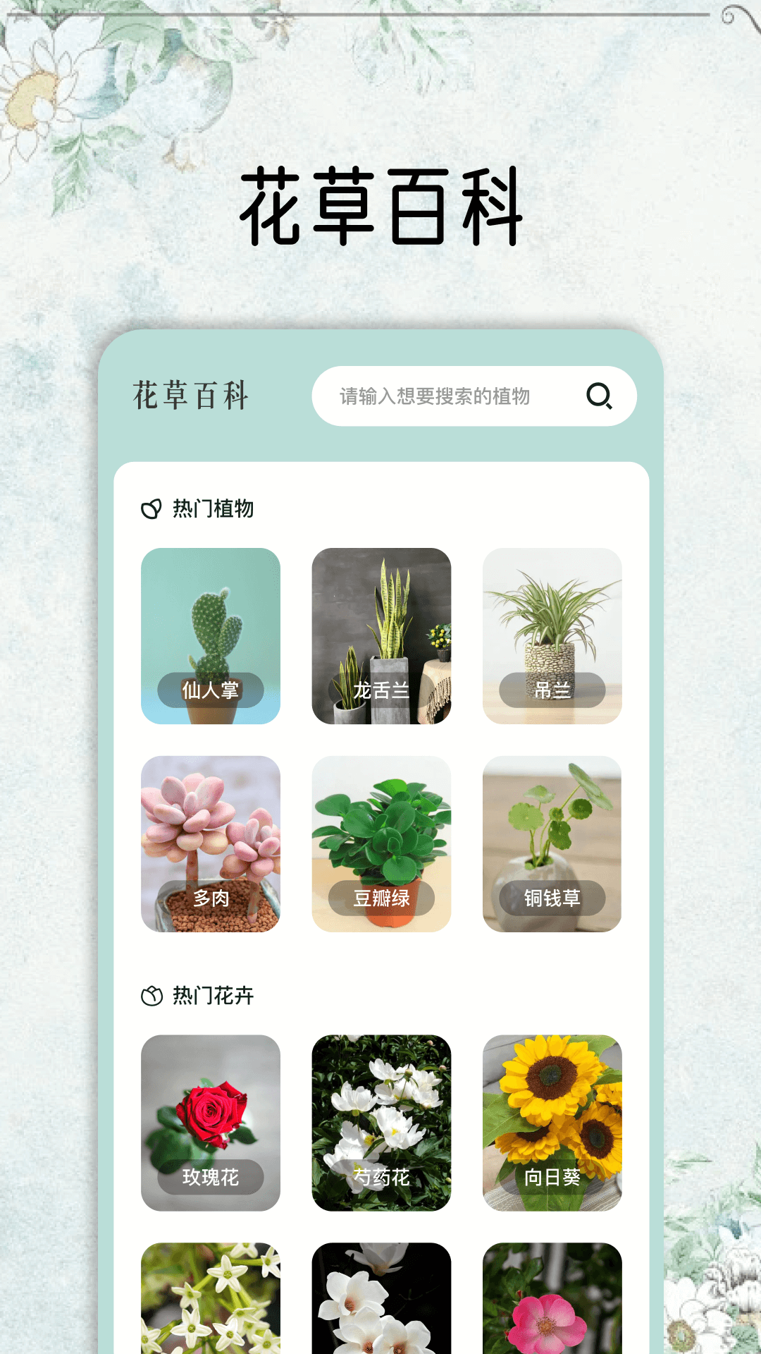 花草秒识别