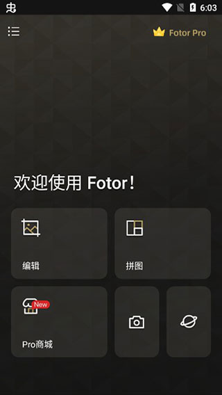 fotor图片编辑器专业版