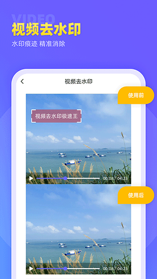 视频去水印极速王app