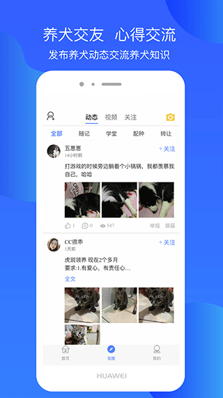 犬卫士app软件封面