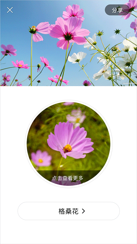 识花app