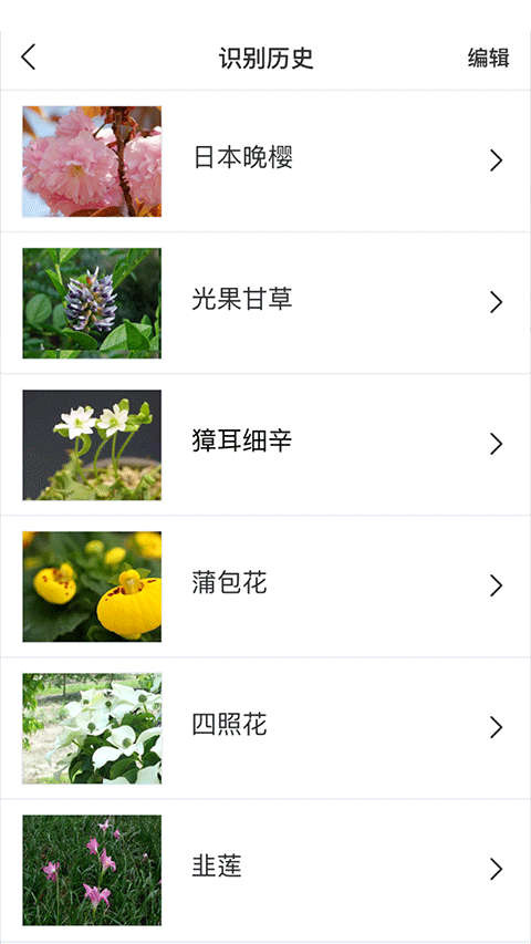 识花app