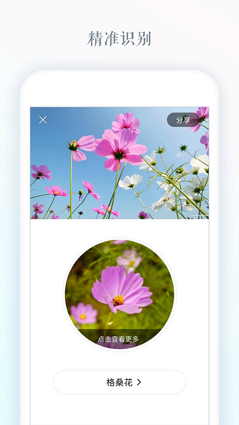 识花app