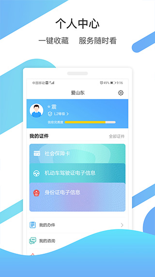 山东政务服务平台app