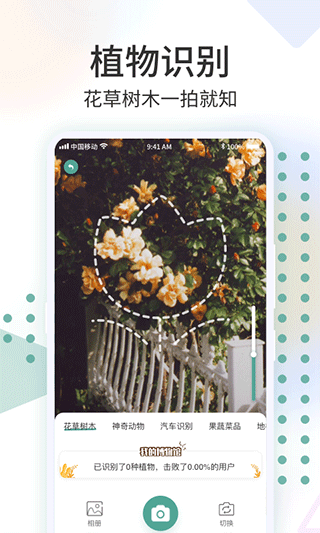 识花君拍照识别花软件