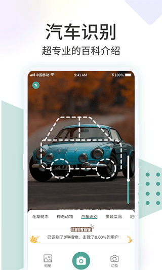 识花君拍照识别花软件