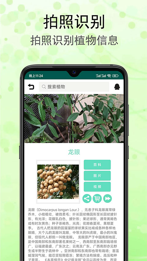 识花草软件