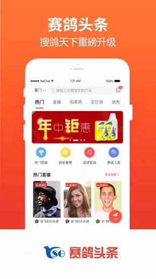 赛鸽头条app