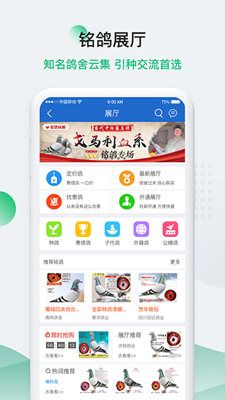 中国信鸽信息网app