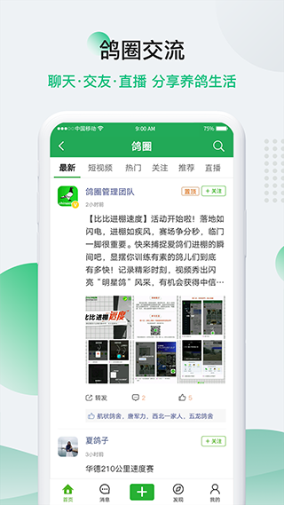 中国信鸽信息网app