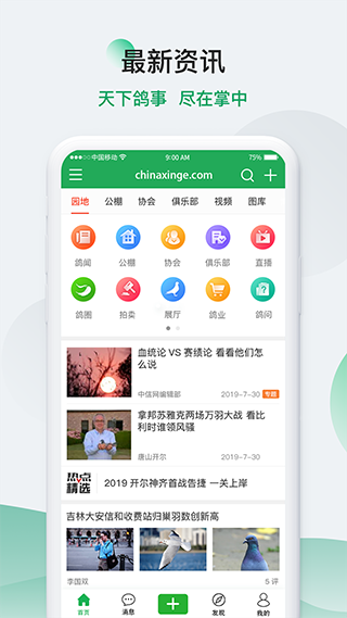 中国信鸽信息网app