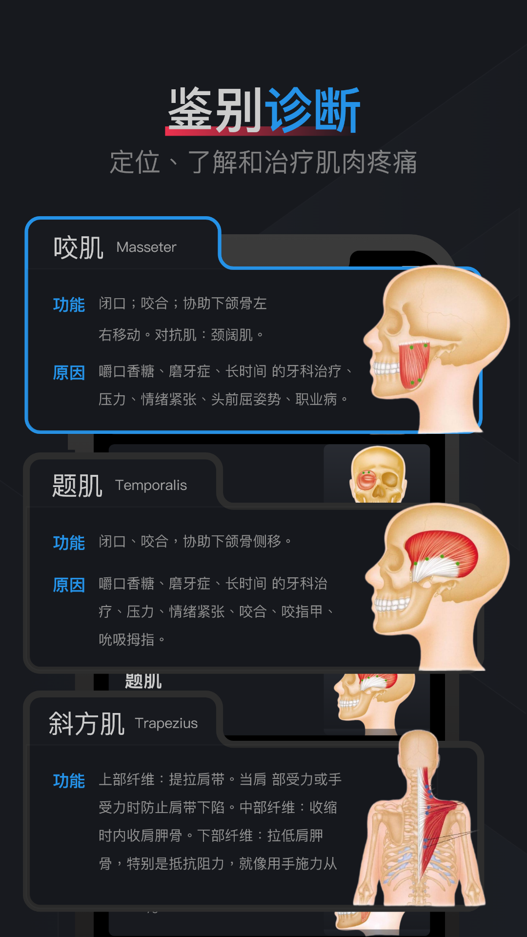 肌肉激痛点图谱软件封面