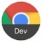 Google Chrome