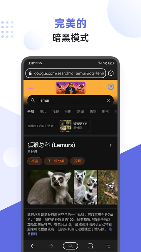 狐猴浏览器app软件封面