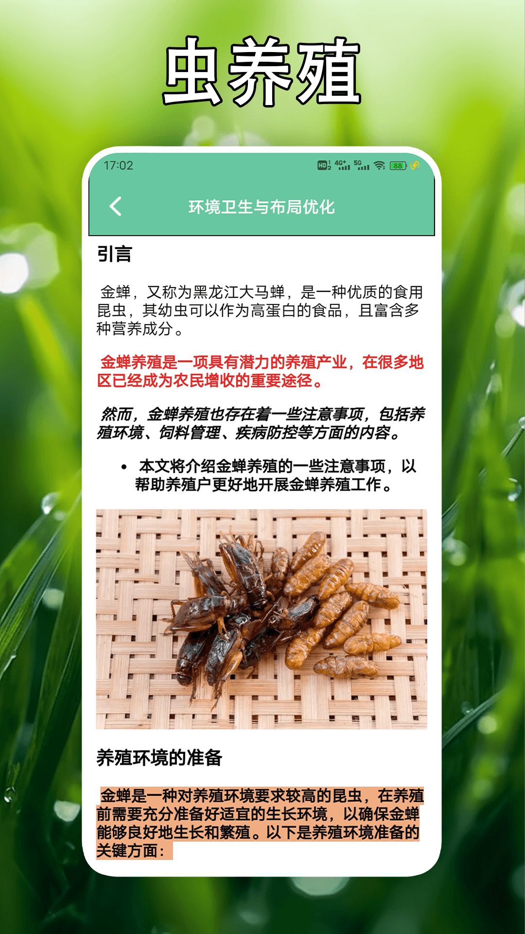 虫助手软件封面