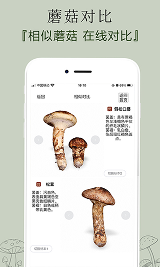 菌窝子app