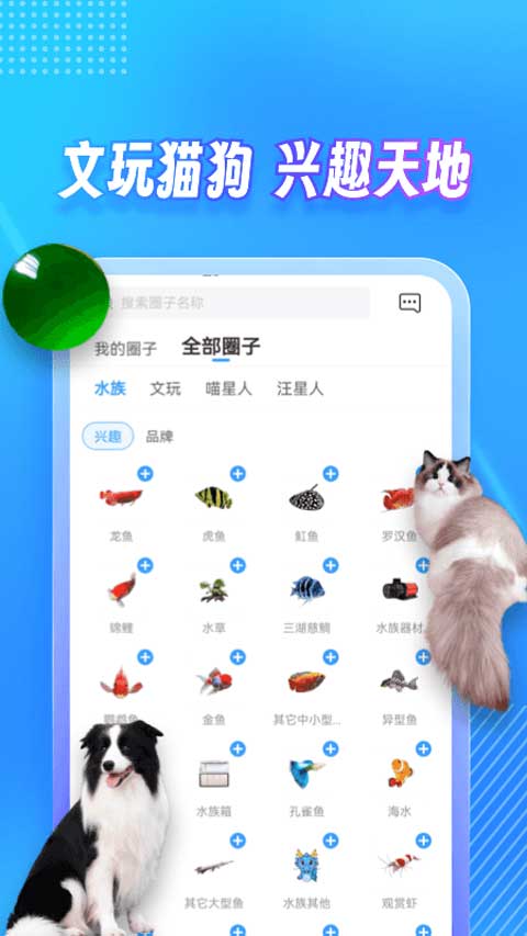 龙巅app